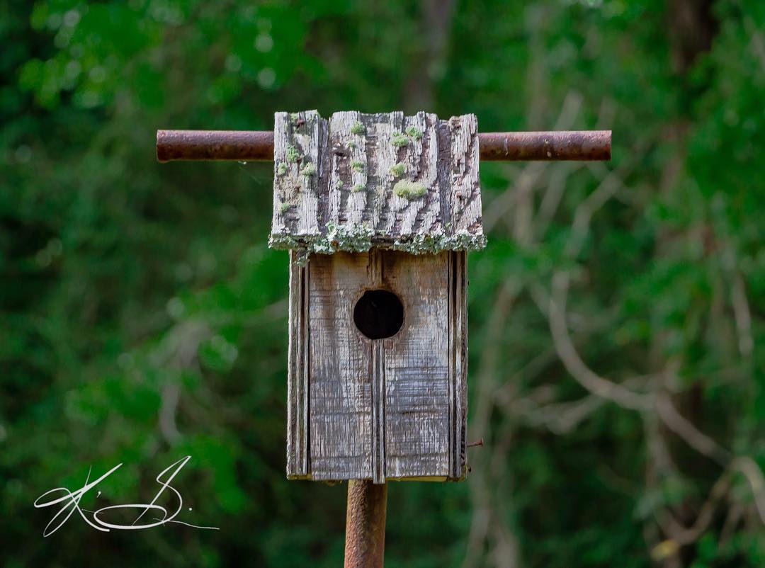 Birdhouse