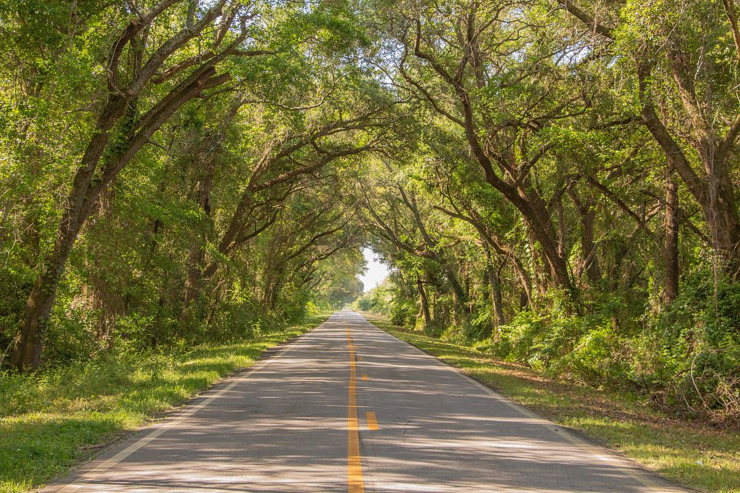 Backroad in Baconton, Georgia